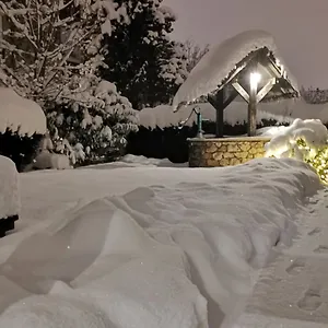 Petri *** München